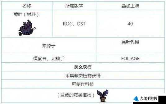 饥荒游戏中盆栽蕨类植物的用途与图鉴详解