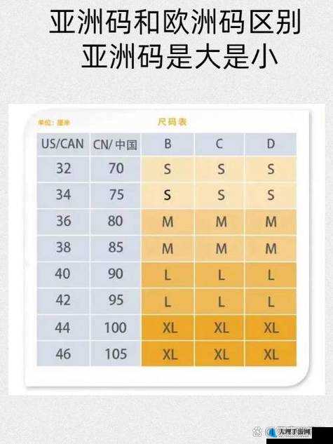 含羞草 M 码和欧洲码的区别是什么：尺码标准与实际应用的差异